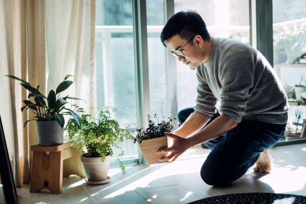 More Plants for Your Growing Garden