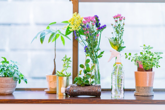 Beautify Your Homes With These Visually Appealing Ornamentals