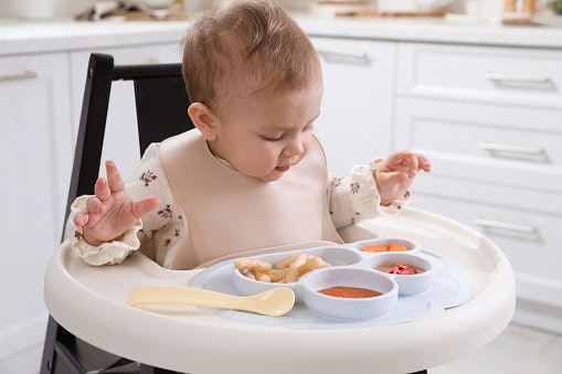 Benefits of Having a Baby Food Maker