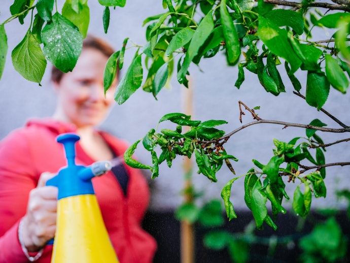 What Are Pesticides?