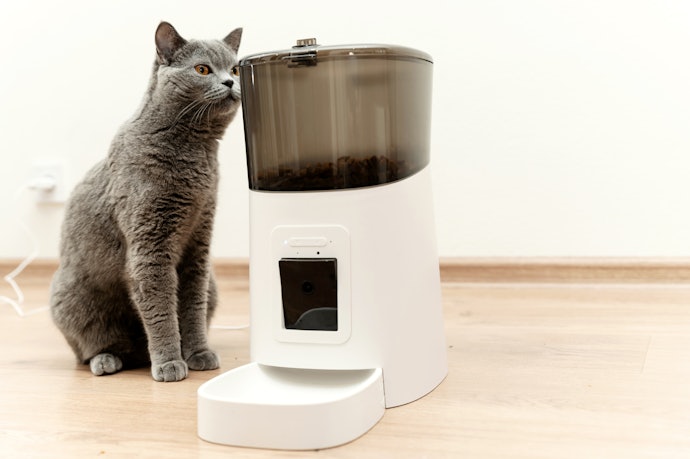 How Does an Automatic Cat Feeder Work?