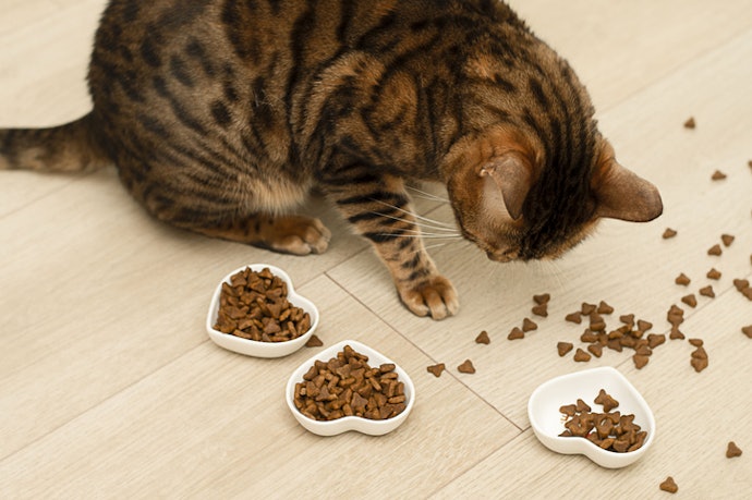 Picky Cat? Get a Trial Pack First