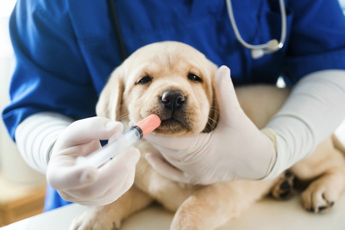Know When Home Deworming Is Not Recommended
