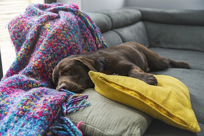 Blanket vs. Throw Blanket: What's the Difference?