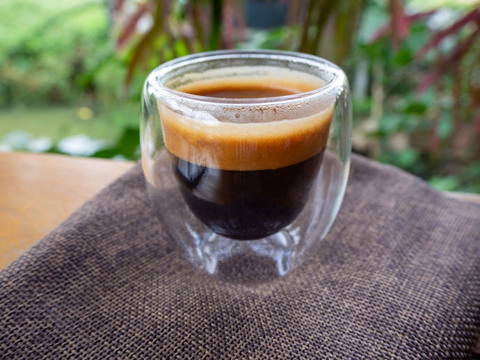 Double Wall Glasses — What's So Great About Them?