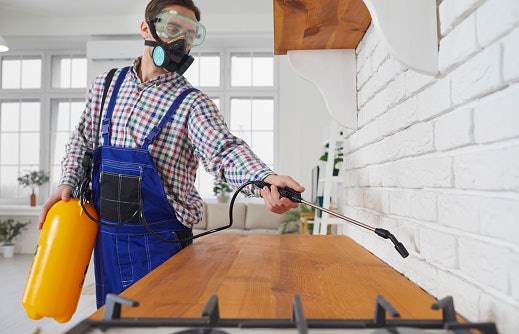 Understanding Cockroach Infestations in Philippine Homes