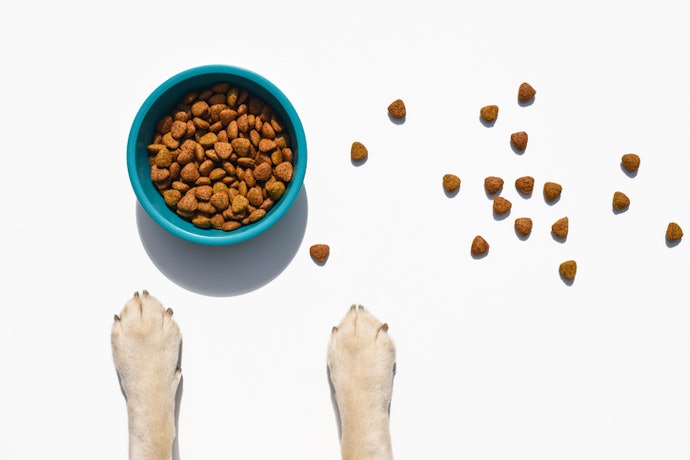 Have a Picky Dog? Get a Trial Pack First!