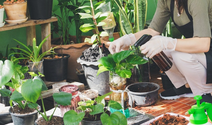What Is a Foliar Fertilizer?