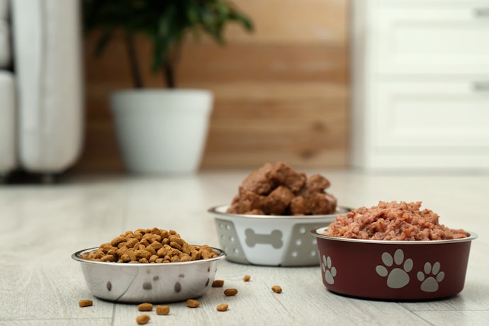 Dry or Wet Dog Food: Which Is Better?