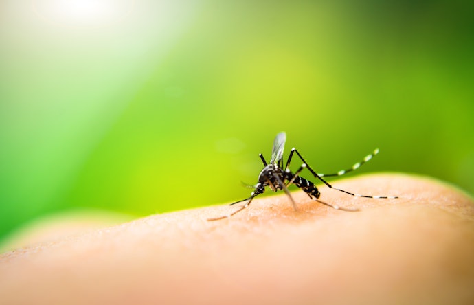 What Is DEET and How Does It Protect You from Mosquitoes?