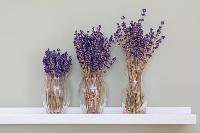 Why Choose Dried Flowers?