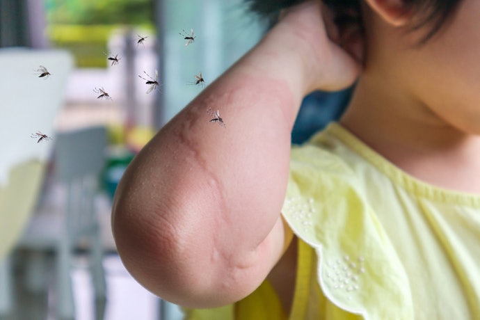 Are DEET-Based Insect Repellents Suitable for All Ages?