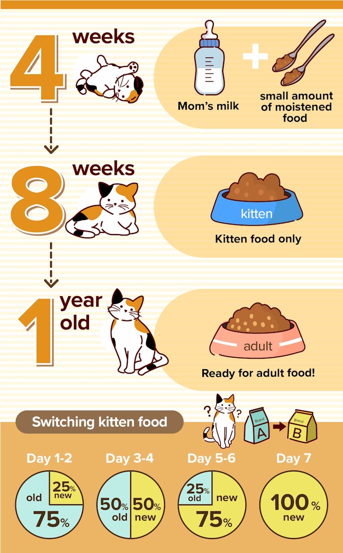 Feeding Guidelines for Kittens