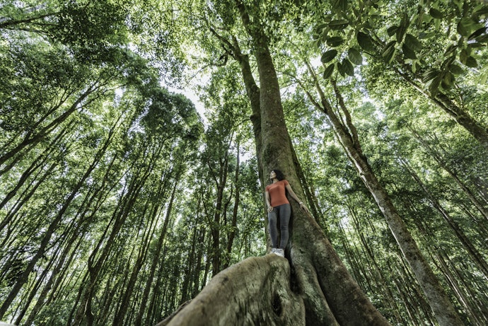 Why You Should Think About Going Green