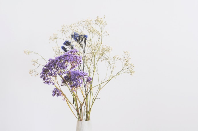 Make the Switch! Here's Why You Should Pick Preserved Flowers