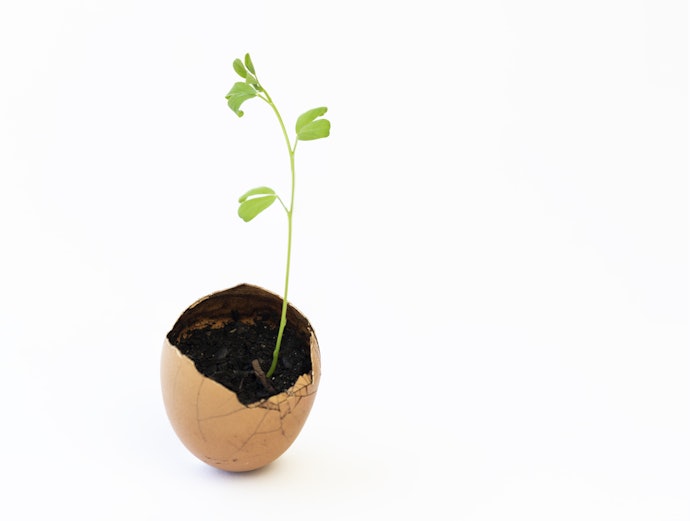 Why Go for Organic Fertilizers?