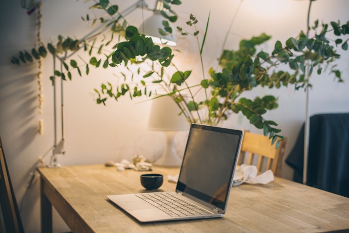 Pick a Plant With an Appropriate Growth Rate for the Size of Your Desk