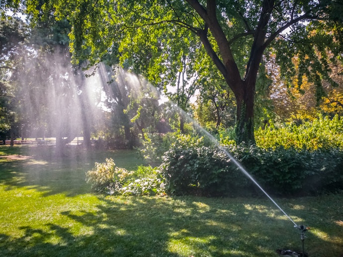 Consider the Area You Are Watering