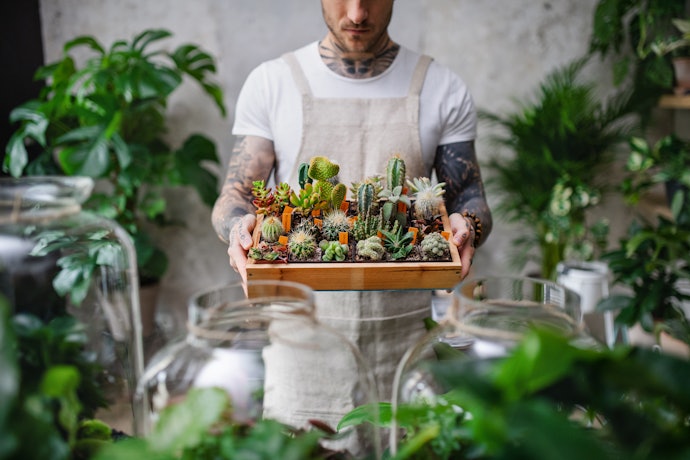 Buying Local Reduces Stress to Plant