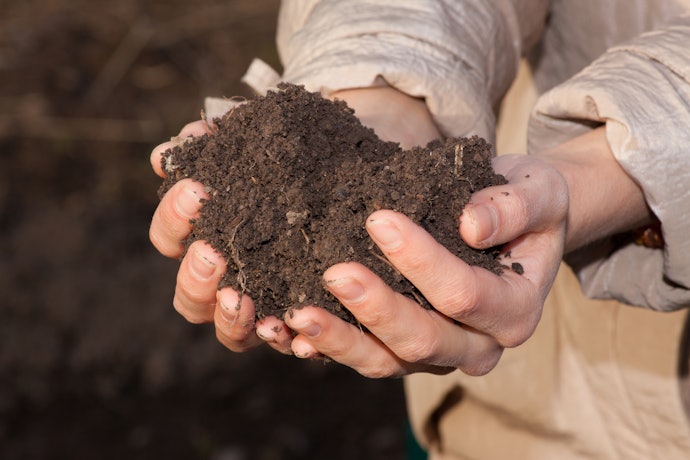 Check Your Soil's Pore Space