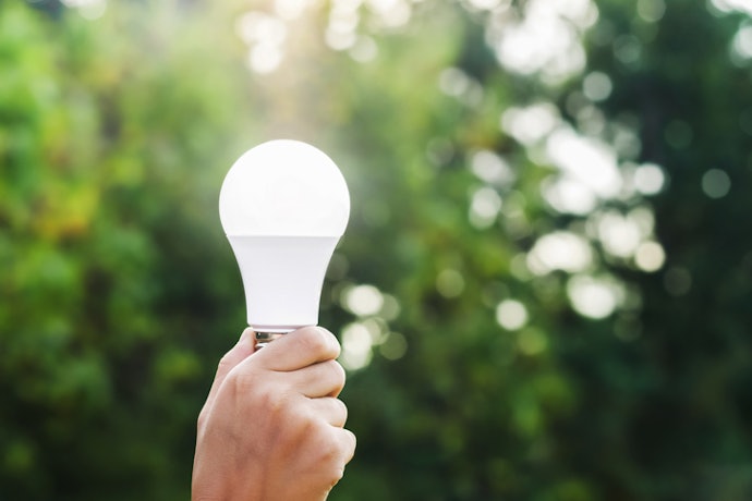 Look for High-Energy-Saving Light Bulbs