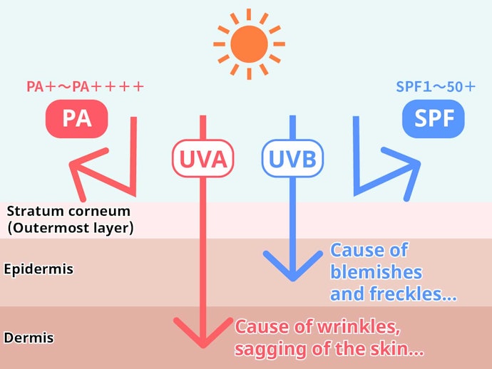 Check if Your Sunscreen Is Broad-Spectrum to Fight Both UVA and UVB Rays
