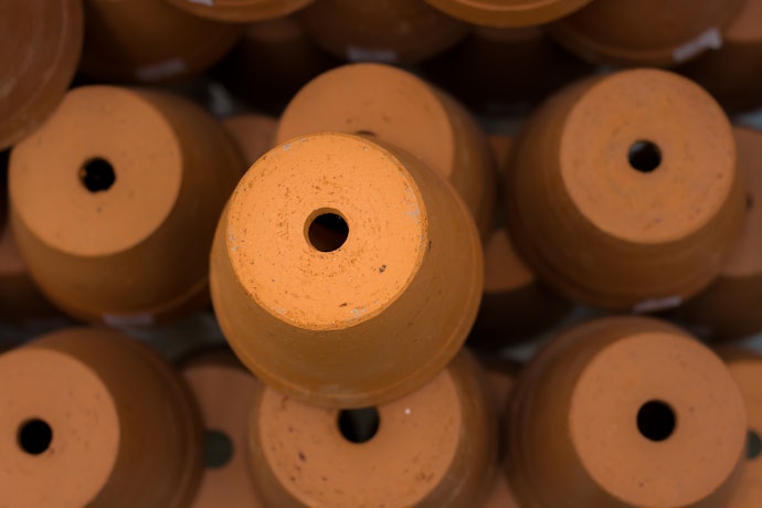 Check for Drainage Holes to Prevent Root Rot