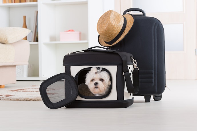 Consider Its Compliance With Regulations if You Plan to Travel