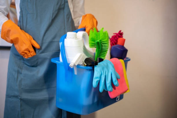 Fight Against Bacteria, Stains, and Breakage With the Right Bristle