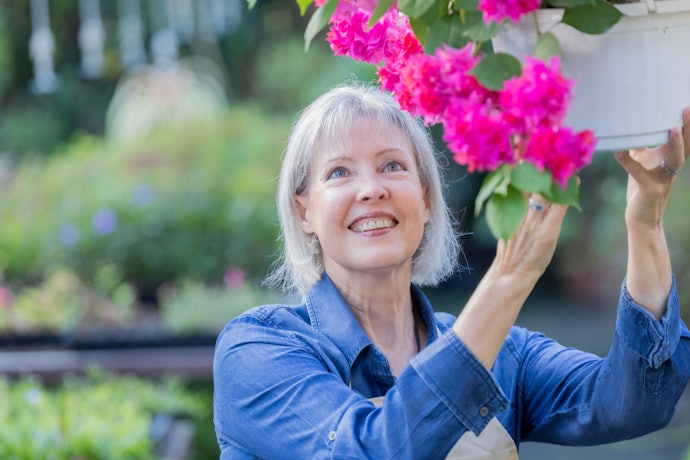 Make Sure That the Plant You’re Buying Is Healthy