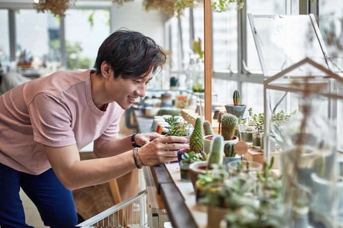 Check the Leaf Shape and Color to Ensure the Plant's Health