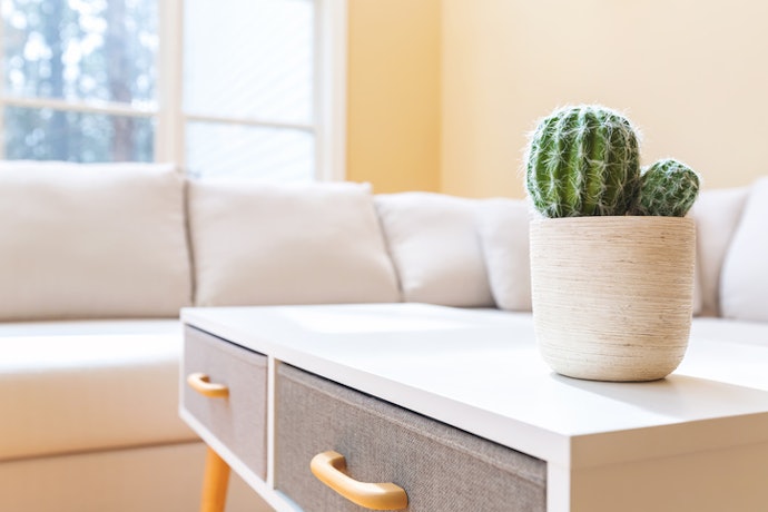 Consider a Coffee Table with Built-In Storage Compartments