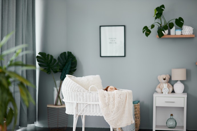 Take Into Account Your Nursery’s Color Scheme and Interior