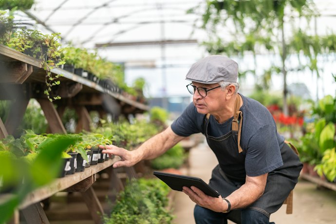 Decide Which Herb to Grow