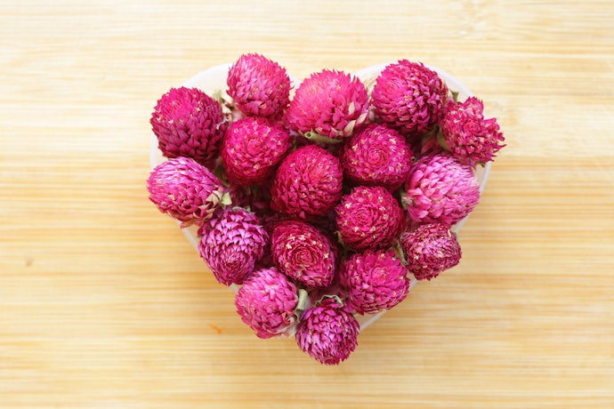 Globe Amaranth Has a Bold and Warm Color and Is Known for Its Anti-Aging Benefits