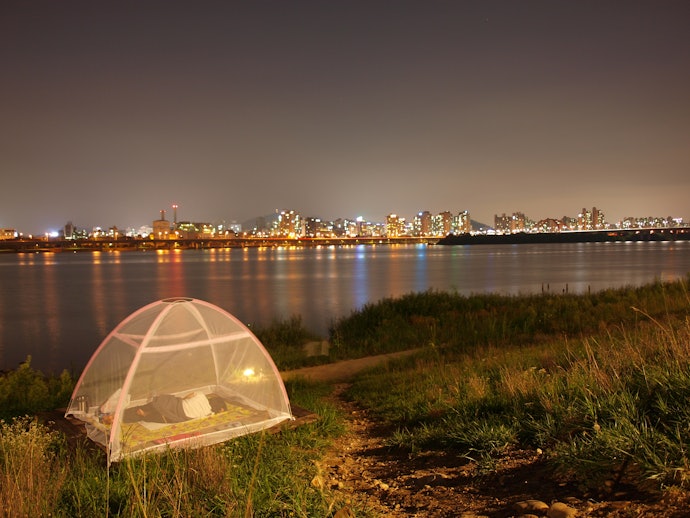 Structured Nets for Ease of Use and Portability