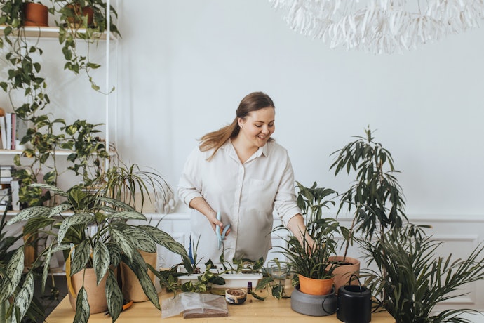 Consider Your Available Space and What the Plant Requires