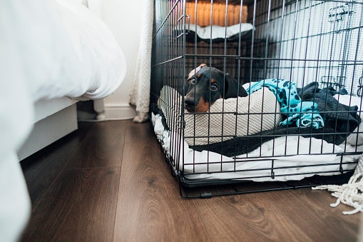 Ensure That the Playpen Is Easy to Assemble and Has a Durable Base