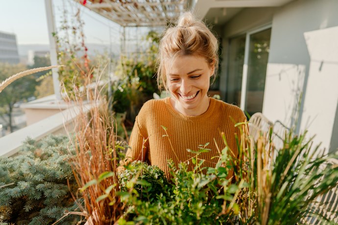 Strong Sunlight Produces the Most Flavorful Herbs