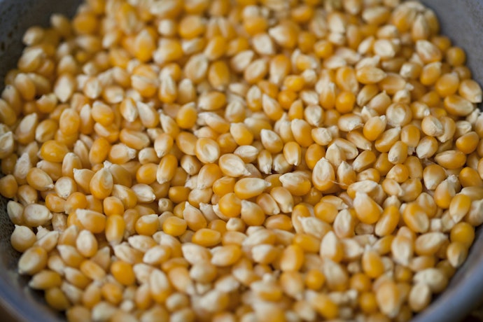 Kernels Are More Affordable but Takes a Lot of Effort to Cook