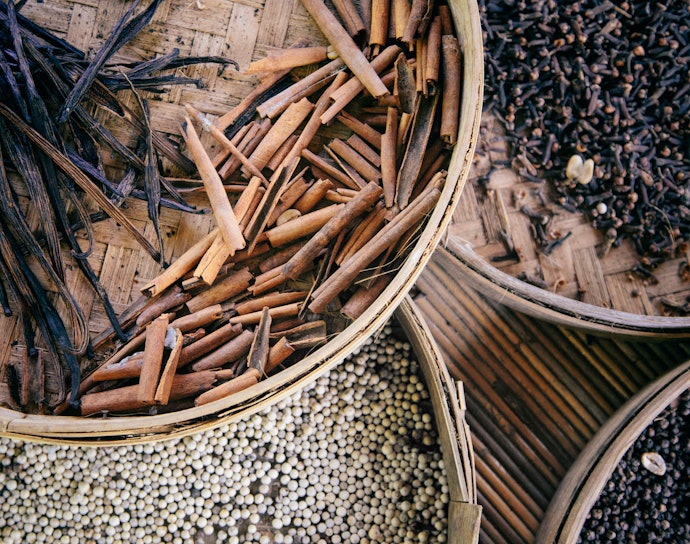 Woodsy Scents Are Versatile and Suitable for a Variety of Occasions