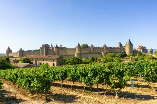 For a Classic Option, Select Wine From Known Regions Like France, Spain, and Italy