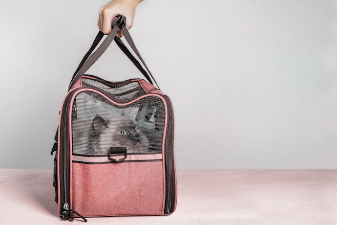Soft-Sided Carriers Are Ideal for Smaller Pets