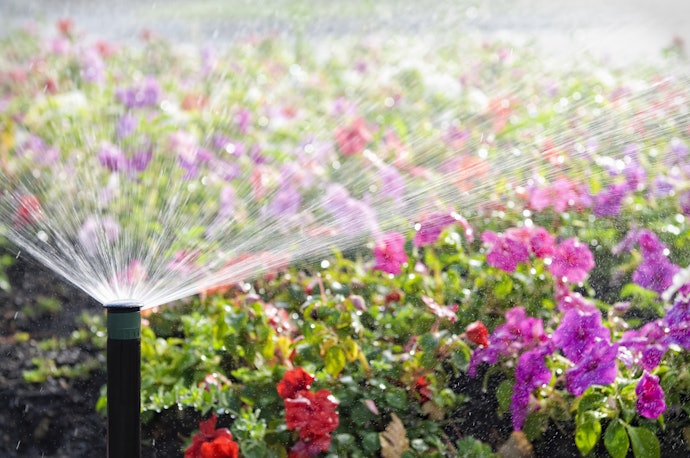 A Fixed Head for Well-Directed Watering