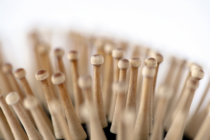 Wood Bristles Are More Durable and Eco-Friendly