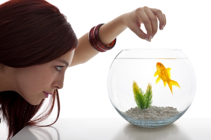 Generic Fish Food Is More Economical