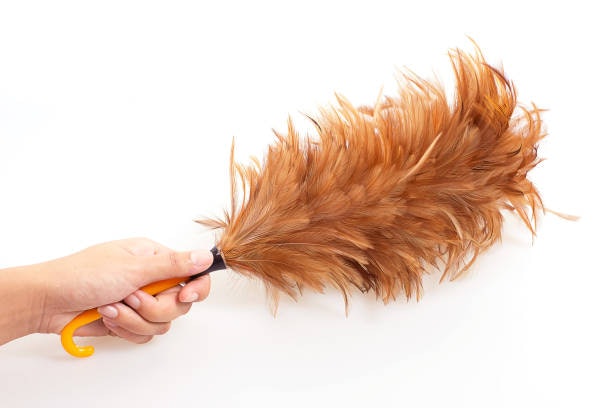 Feather Duster Is for Decorative Items Around the House
