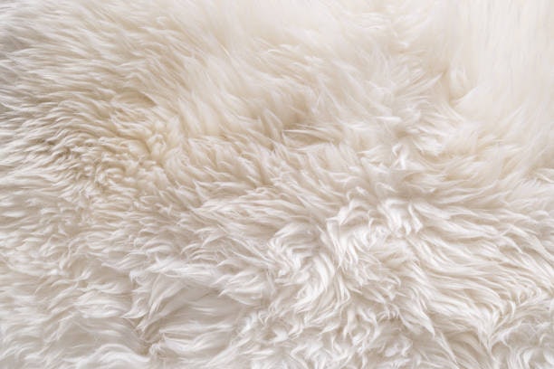 Lambswool Sweeps Through Furniture With Ease