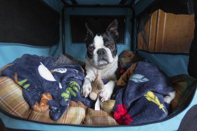 Cloth and Mesh Are Breathable and Portable