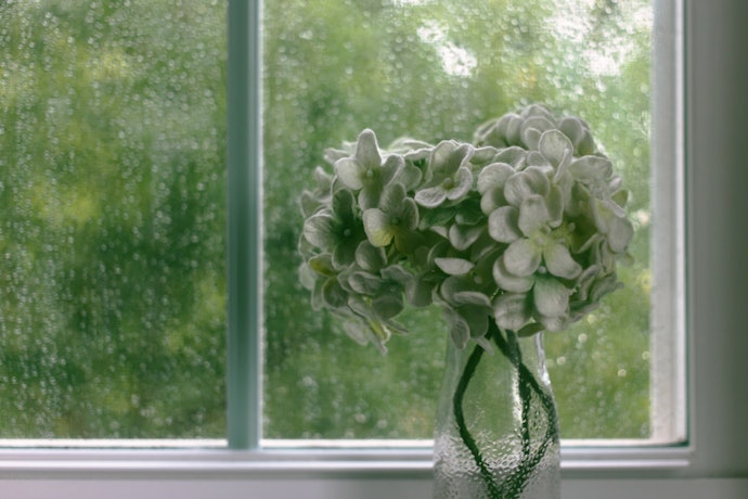 Foam Material for Something Cost-Effective and Long-lasting
